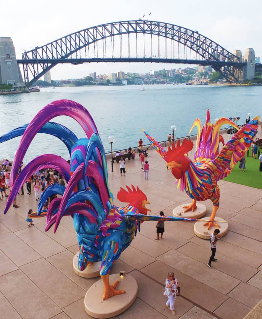 There's a lot of cock-a-doodle-do down by Sydney Harbour.