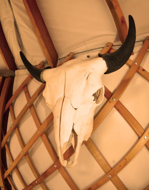 The rustic feel of the Yurt Interior.