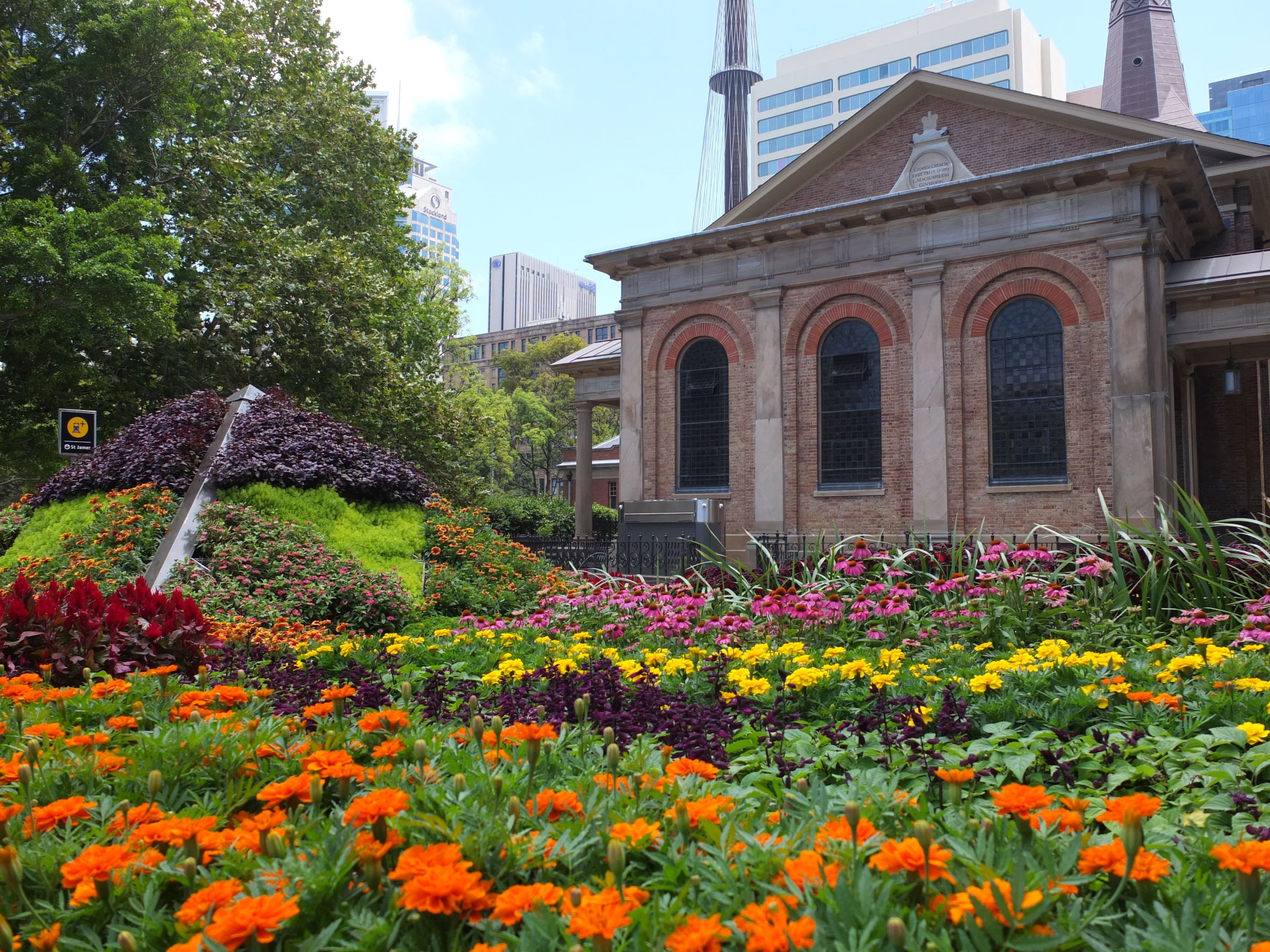 Spring flowers in all shades of colour in front of historic building in Sydney.