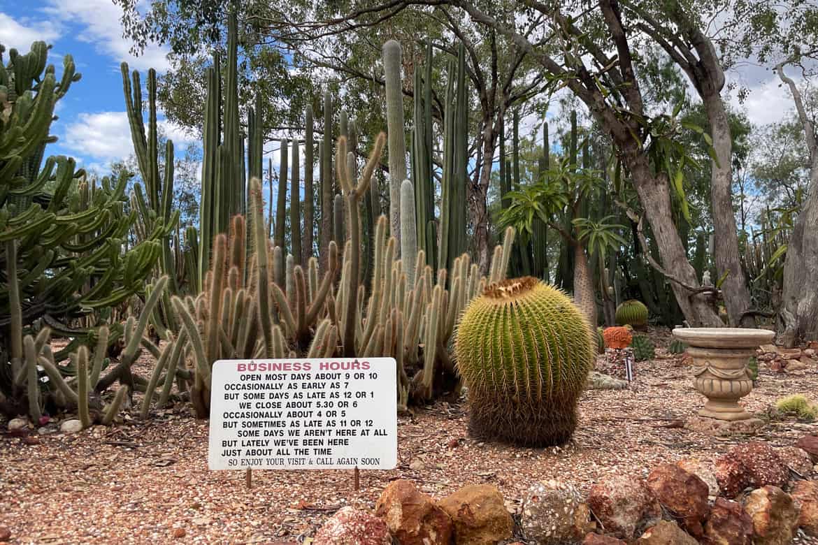 Bevan's Cactus Nursery Lightning Ridge